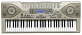 Casio CTK-900