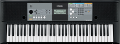 Yamaha PSR-E233