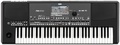 Korg PA 600